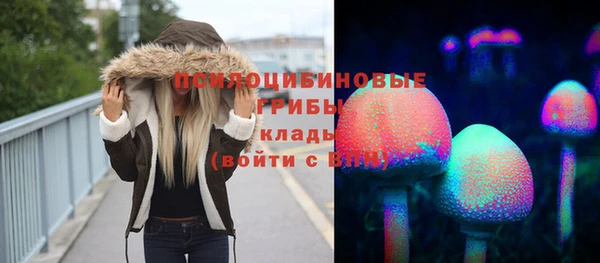 каннабис Новодвинск