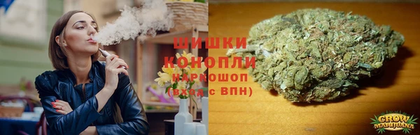 амф Няндома