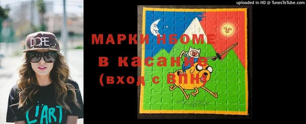твердый Новозыбков