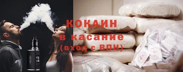 гидра Михайловка