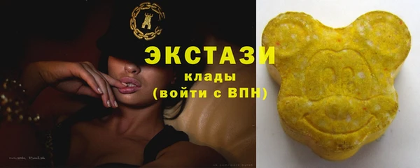 прущие грибы Михайлов
