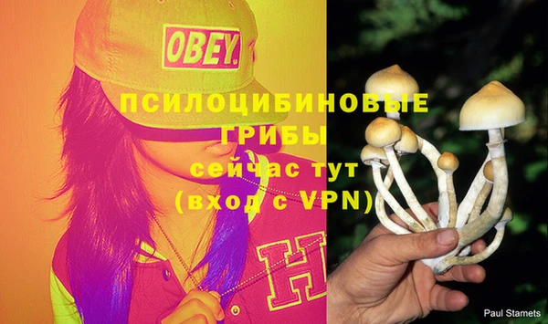 каннабис Новодвинск