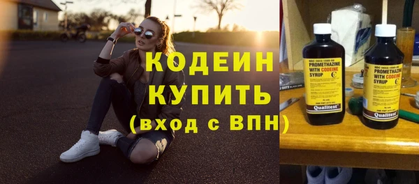 амф Няндома