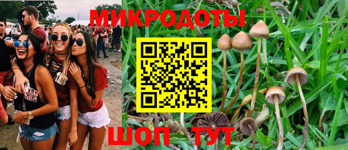 Галлюциногенные грибы Cubensis  Вход с VPN  Нарьян-Мар  Галлюциногенные грибы ЛСД 